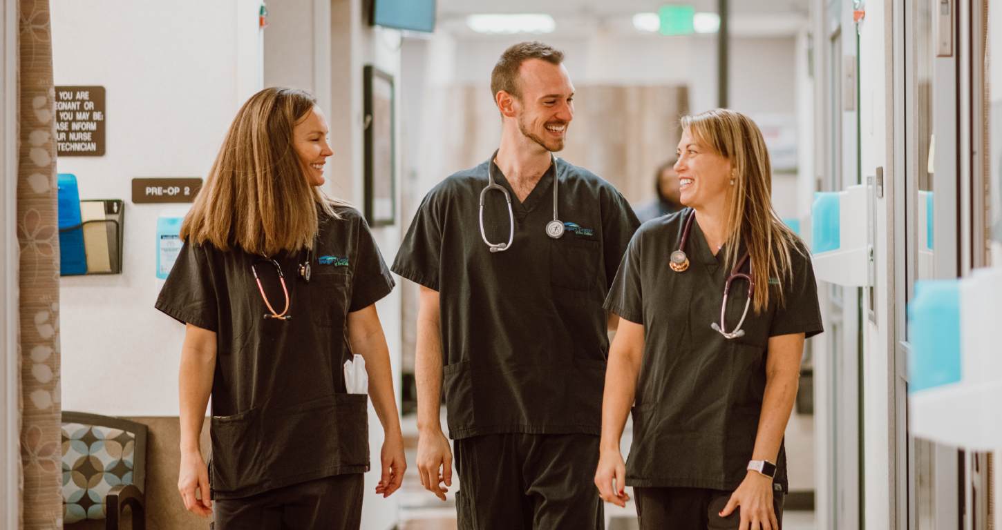 Meet our Team